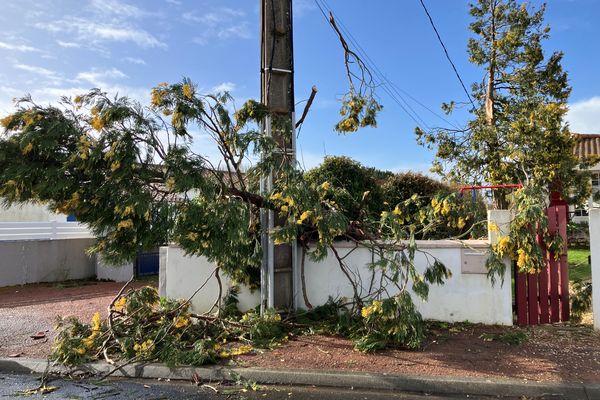 des arbes tombés sur une maison de Challans en Vendée suite à la tempête Nelson le jedui 28 mars 2024