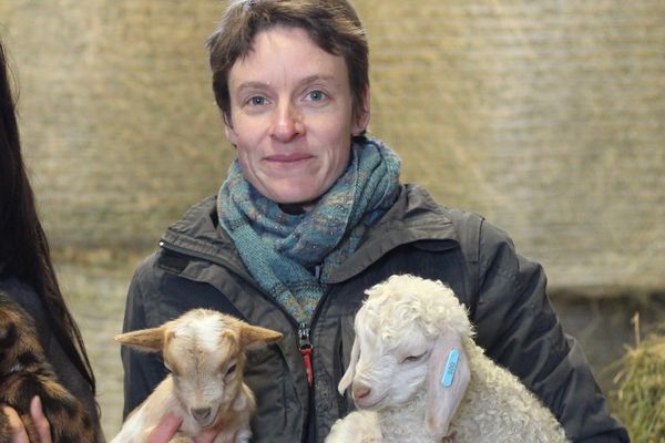 Alice Moreau élevait les chèvres naines en tant qu'animal de compagnie et les chèvres angora pour leur laine