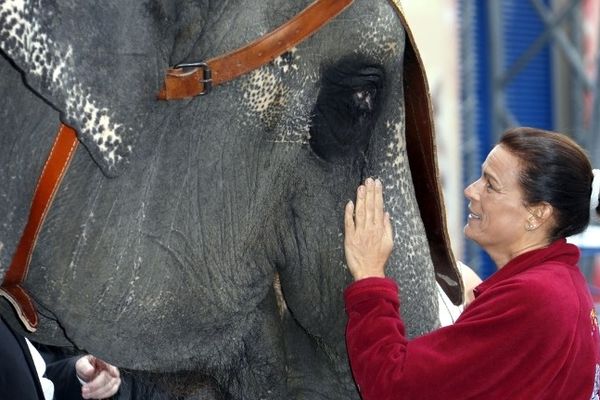 Stéphanie de Monaco en compagnie d'un éléphant du cirque de Monte-Carlo, le 15 janvier 2013.