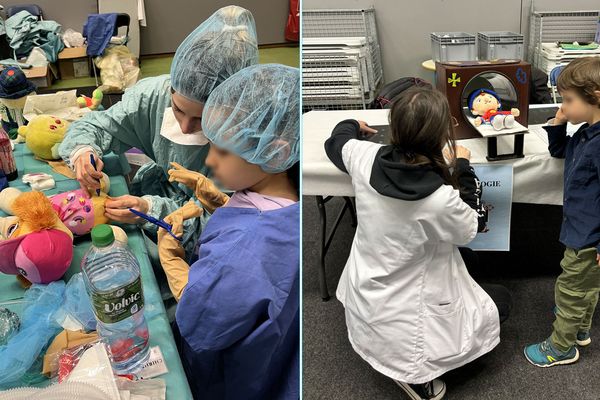 L'hôpital des nounours fait découvrir les différentes spécialités hospitalières à de jeunes enfants.