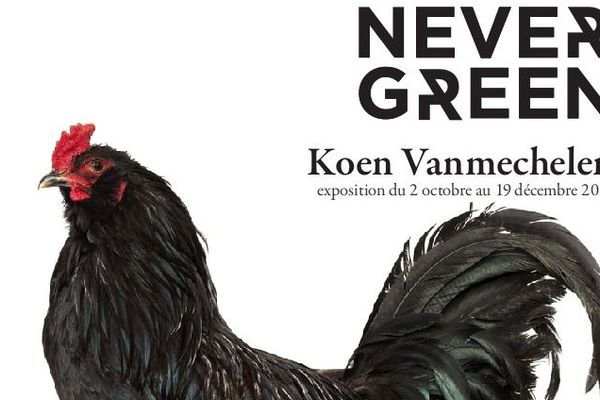 L'exposition "Never Green" à RURART au lycée agricole de Venours.