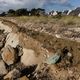 La dune érodée et les maisons en arrière-plan menacées par la submersion marine et l'érosion à Treffiagat, dans le Finistère, le 19 décembre 2024.