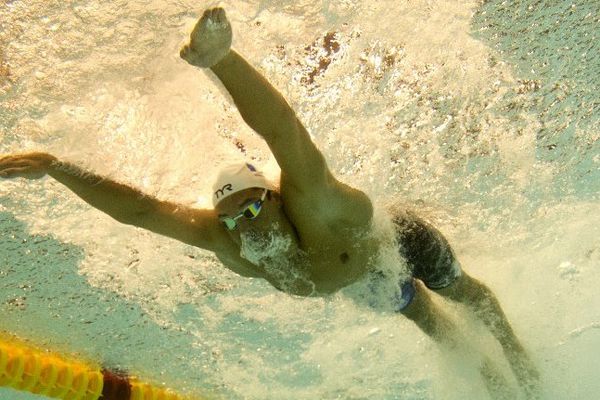 Florent Manaudou a terminé son 50 m papillon en 23 secondes.