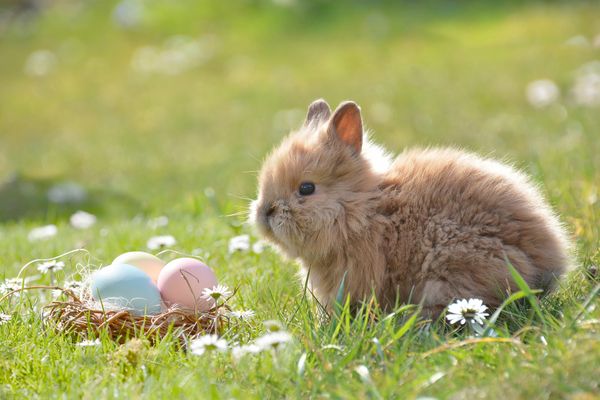 en 2024, le week-end de Pâques aura lieu du 30 mars au 1er avril