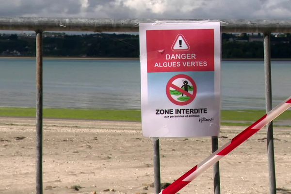 Les riverains comme l'élue sont excédés par la situation. Plus personne ne se rend à la plage avec leurs enfants.