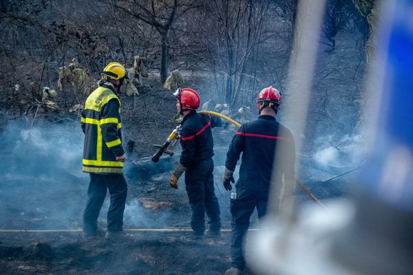 Sapeurs-pompiers du SDIS 66 intervenant sur l'incendie de Villelongue-dels-Monts le 1er juillet 2023.