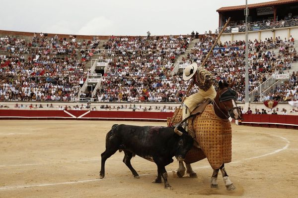 Feria de Béziers payante ? "On fera la peau de l'Etat d'ici là," prévient Robert Ménard.