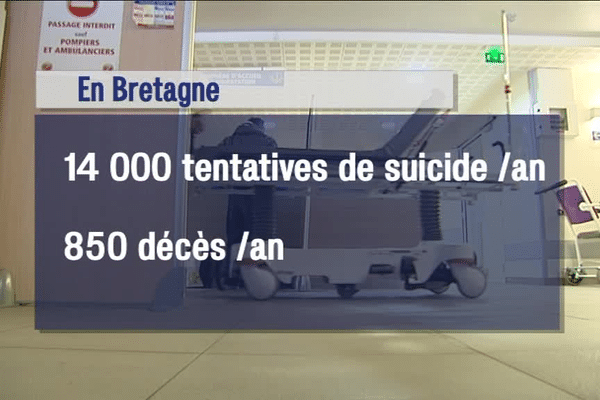 Le suicide en Bretagne