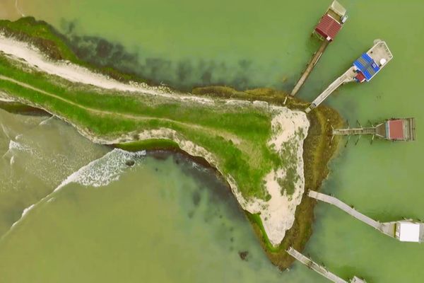 Paysage de l'estuaire de la Gironde vue depuis un drone en Charente-Maritime.