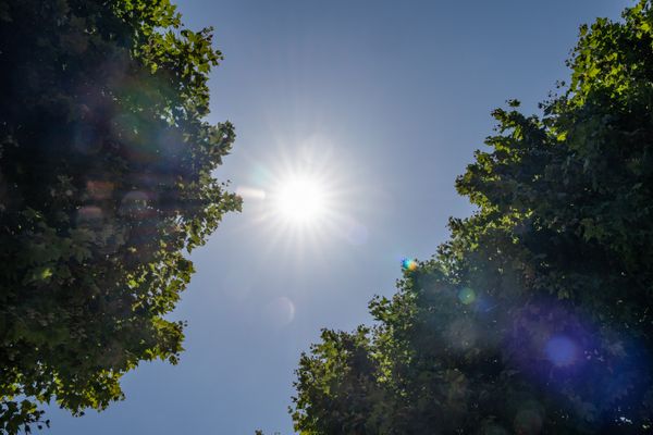 L'alerte canicule orange est sur toute la Bourgogne.