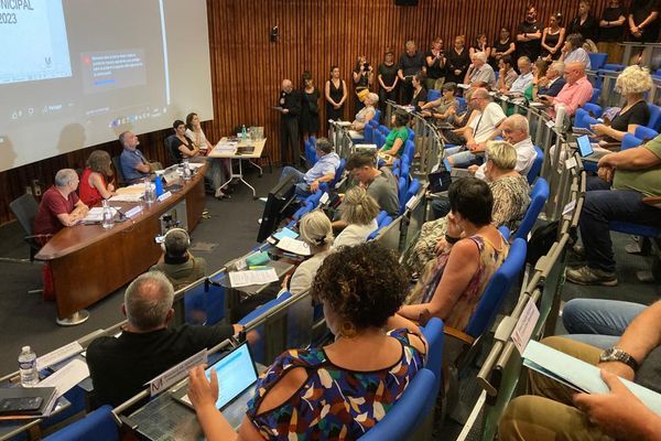 120 commerçants vêtus de noir ont fait irruption au conseil municipal de Millau (Aveyron), mardi 27 juin, pour dénoncer la mort du commerce en centre ville.