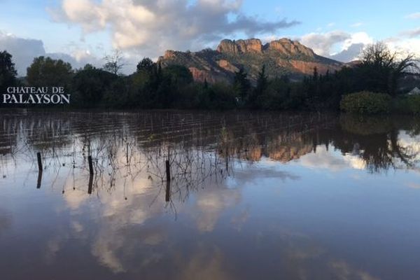 Le fleuve Argens est sorti de son lit ce jeudi matin sur la commune de Roquebrune-sur-Argens.