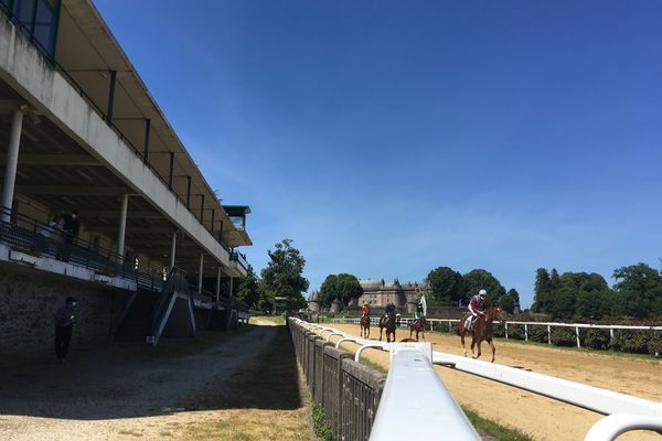 Les chevaux de course vont pouvoir continuer à s'entraîner (archives mai 2020).  