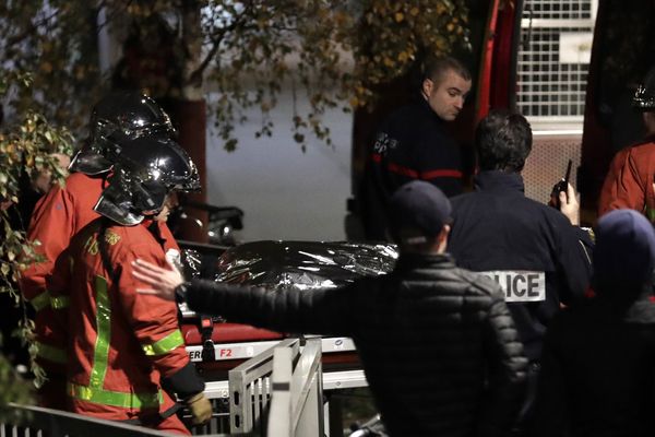 Le corps du tigre abattu à Paris XVe évacué par les forces de sécurité.