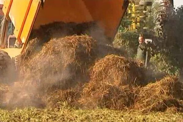 Du fumier en libre service dans l'Oise