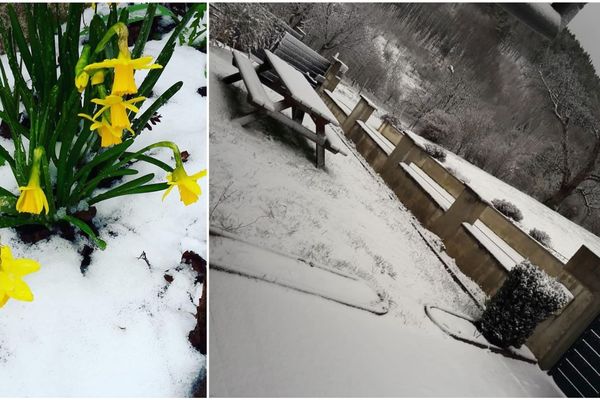 Cinq centimètres de neige ont recouvert le jardin de ce particulier à Maisonsgoutte (Bas-Rhin). Il songe que "Dame Nature hésite encore entre le printemps et l'hiver".