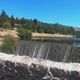 À Saint-Sauveur-Camprieu, au nord du Gard, le barrage du Bonheur va être vidangé pour colmater les fissures du barrage et consolider ses fondations. Les poissons seront extraits du lac. Les opérations vont durer plusieurs jours.