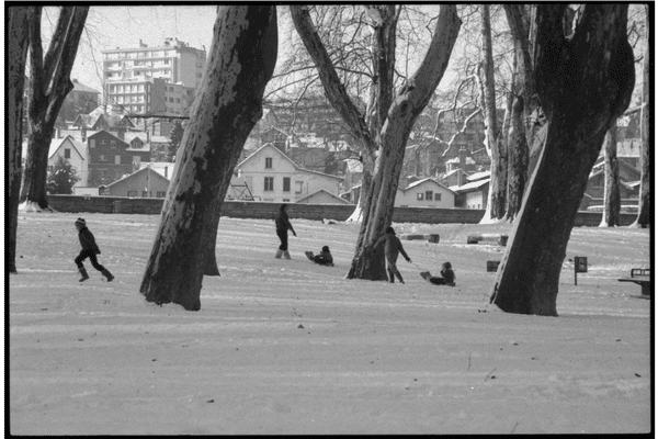 Les luges glissent sous les arbres de Chamars ces tout premiers jours de janvier 1985.