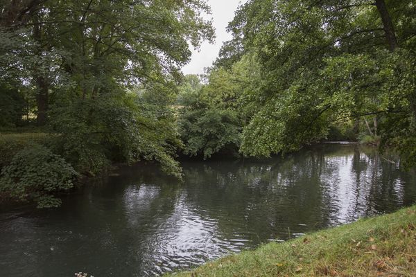 Au même titre que les nappes phréatiques, les fleuves et rivières renferment de nombreux pesticides issus de l'activité humaine. Dans le Calvados, le syndicat mixte en charge de la production d'eau potable, procède notamment à la dilution de l'eau pour abaisser le taux de Chloridazone détectée à des niveaux anormalement élevés dans le Nord Ouest du Calvados