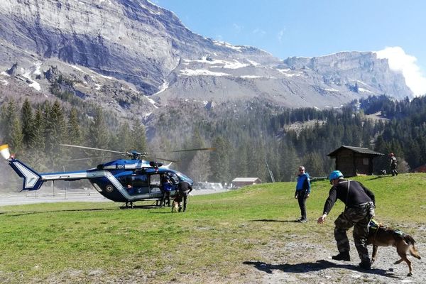 Les brigades cynophiles sont des équipes de la gendarmerie accompagnées de chiens, jeudi 16 mai 2019.