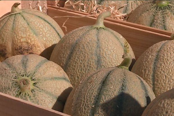 Traditionnelle foire aux melons à Boulaincourt. Et comme chaque année elle attire de nombreux visiteurs ! 