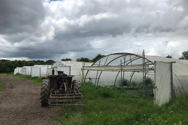 37 variétés de légumes sont plantées dans le potager solidaire.