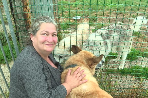 La cinquantaine de places disponibles au refuge pour animaux de Saint-Georges d'Oléron est occupée.