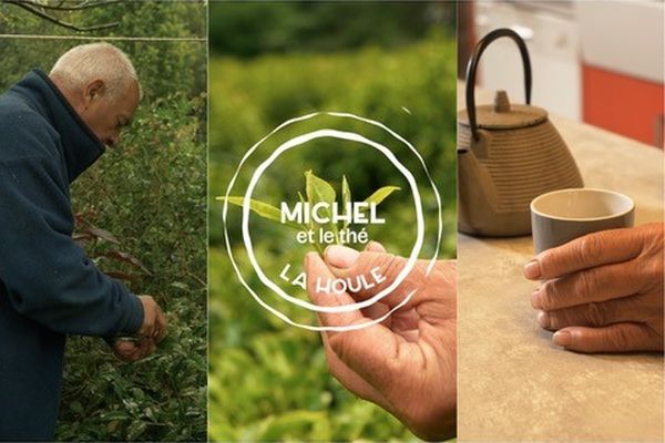 Michel Thévot, passionné de botanique, cultive depuis 2018 des théiers sur les terres de son moulin de Kerouzéré, à Sibiril, dans le Finistère nord.