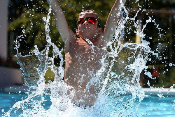 Une petite tête dans la piscine de Beaublanc à Limoges ?