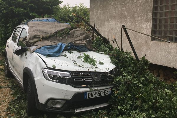 Une voiture sous les branches, après un orage, à Soisy-sur-Seine, en Essonne.