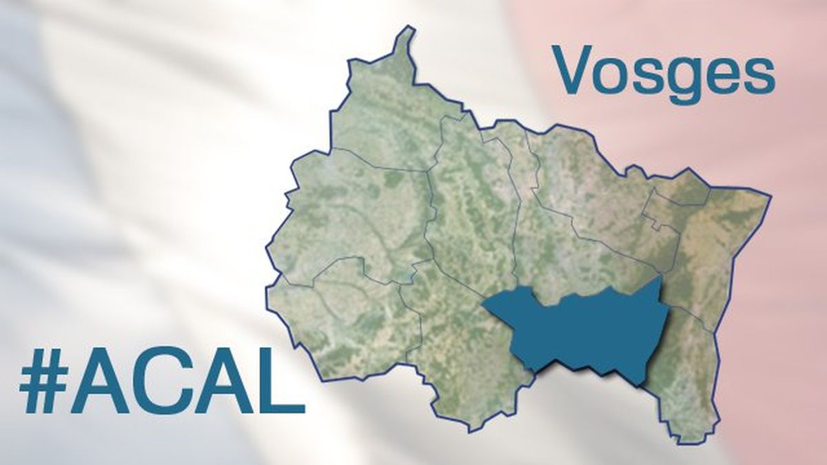 R gionales 2015 tous les candidats dans les Vosges au second tour