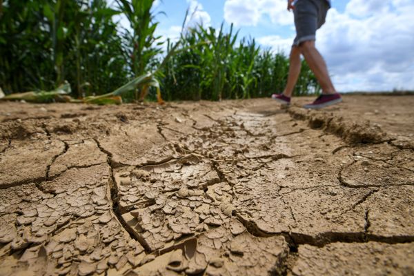 Le déficit de pluviométrie est de 40 % dans le Morbihan depuis le début de l'année 2022.