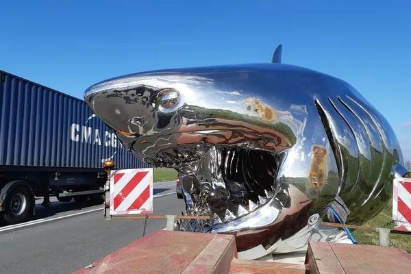 Ce requin long de dix mètres est l'oeuvre de l'artiste Philippe Pasqua.