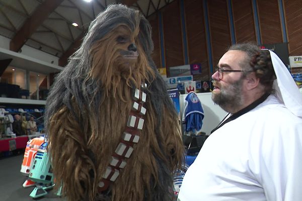 Renconte improbable entre Chewbacca et la princesse Leia revisitée.