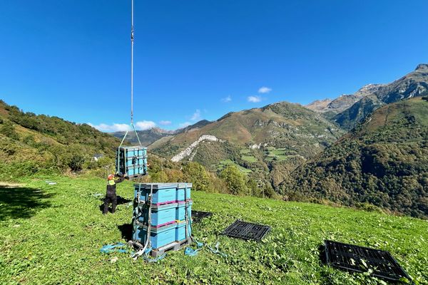 De ruches déposées pour l'été par des apiculteurs n'étant plus accessibles, le Parc national des Pyrénées a orchestré un sauvetage dans la nuit du 4 octobre 2024.