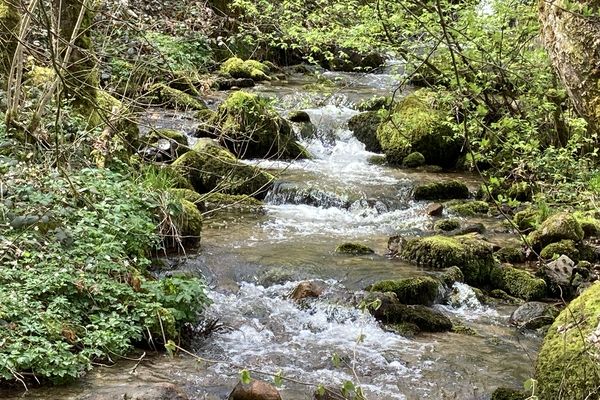 Le massif des Vosges est surnommé "le château d'eau" de la Lorraine