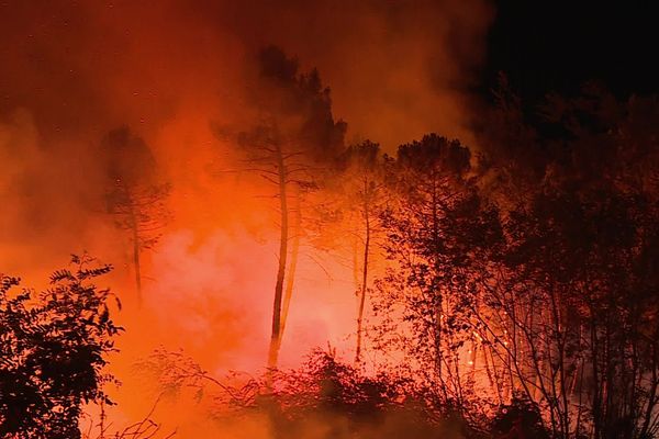 Incendie en Gironde - été 2022