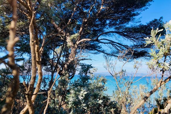 L'île de Porquerolles offre une expérience enivrante en plein hiver.