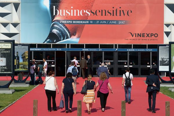 Vinexpo a lieu tous les deux ans