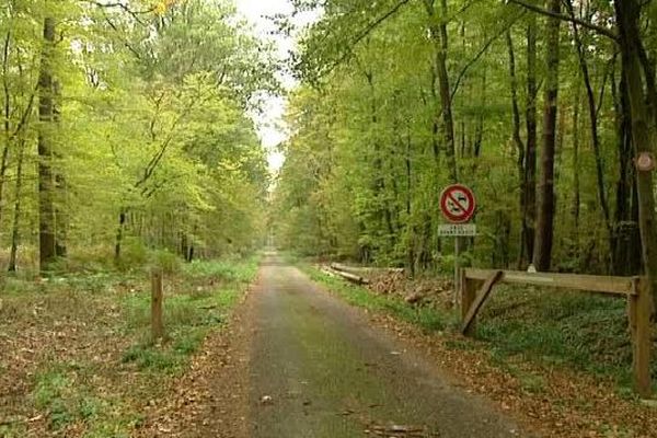 Un homme de 70 ans a été agressé dans la forêt de Haguenau