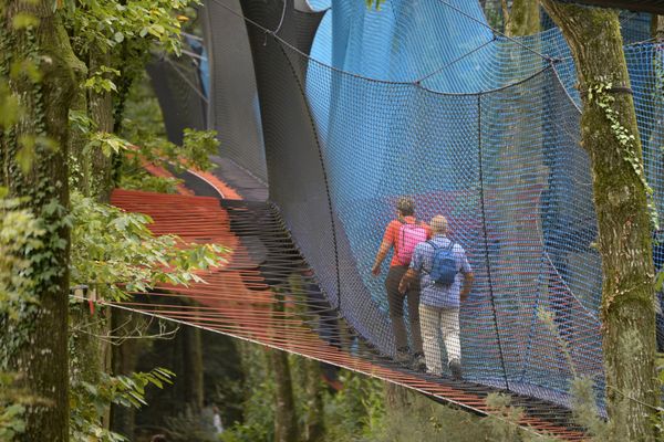 Maitriser son équilibre sur des filets tendus entre les arbres à Burdignes