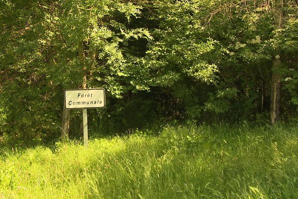 Rodez - le corps sans vie du jeune homme a été retrouvé dans un secteur escarpé du bois de Linars - 16 juin 2021.