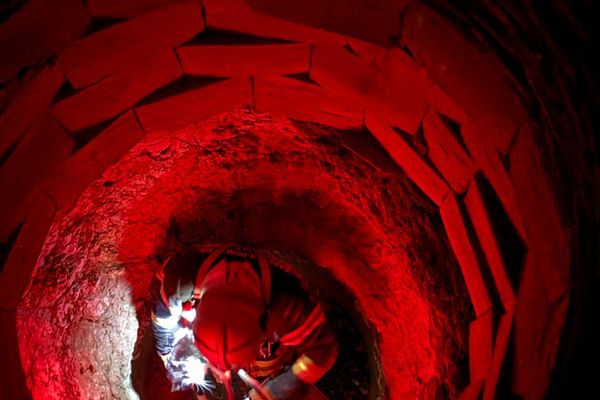 Tombé dans un vieux puits et pris au piège à 6 mètres sous terre, un chat récupéré vivant par les pompiers