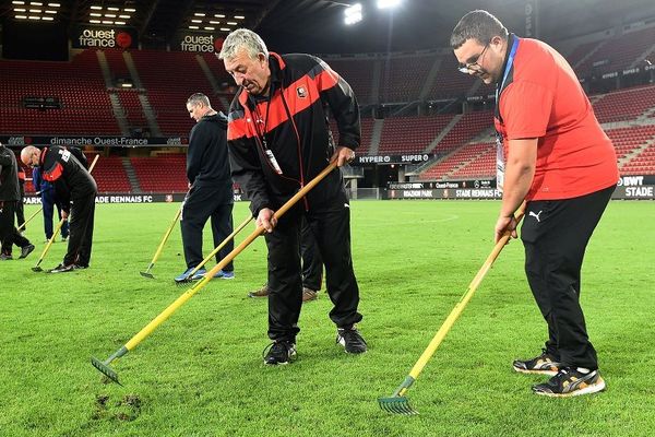 Des jardiniers du Stade Rennais remettent en place des "chiquettes", petites mottes de pelouse pendant le match Rennes - PSG le 18 août 2019.