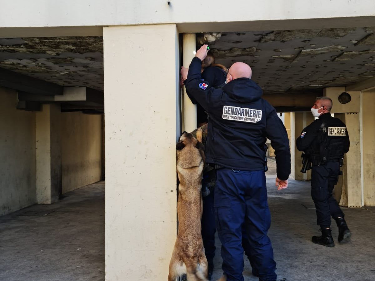 Berre L Etang Operation Anti Drogue Dans La Cite De La Marielie