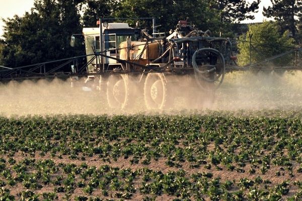 Epandage agricole sur une parcelle de pommes de terre 