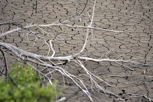 L'Aude a déjà été touché par un épisode de sécheresse l'été 2023.