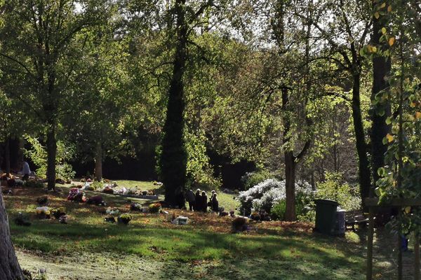 Une famille se réunissant près d'un arbre dans le jardin du souvenir du cimetière de la Madelaine d'Amiens, le 1er novembre 2022.