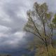 Nuages annonciateurs d'orage - Illustration