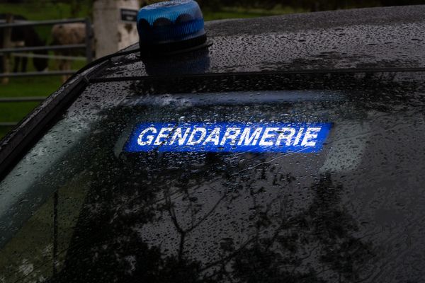 Deux morts par balles dans la Loire, à Saint-Joseph, non loin de Rive-de-Gier  : une enquête de gendarmerie en cours (image illustration)